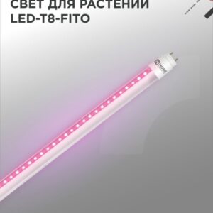 Лампа светодиодная LED-T8-FITO 10Вт 230В G13 600мм IN HOME купить оптом недорого