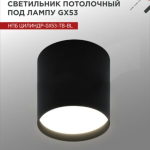 Светильник потолочный НПБ ЦИЛИНДР-GX53-TB-BL под лампу GX53 90х90мм черный IN HOME купить оптом недорого
