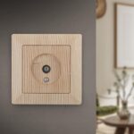 сосна купить оптом недорого