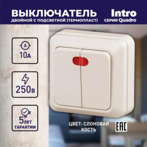 10А-250В