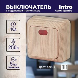 10А-250В