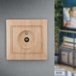 сосна купить оптом недорого