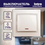 10А-250В