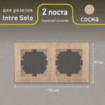 сосна купить оптом недорого