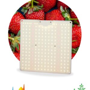 Квантум борд ЭРА FITO-80W-LED-QB Quantum board фитопрожектор полного спектра 80 Вт 3500К купить оптом недорого