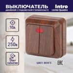 10А-250В