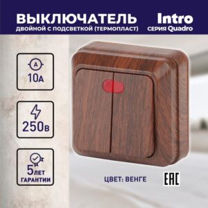 10А-250В
