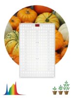 Квантум борд ЭРА FITO-160W-LED-QB Quantum board фитопрожектор полного спектра 160 Вт купить оптом недорого