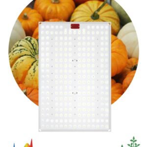 Квантум борд ЭРА FITO-160W-LED-QB Quantum board фитопрожектор полного спектра 160 Вт купить оптом недорого