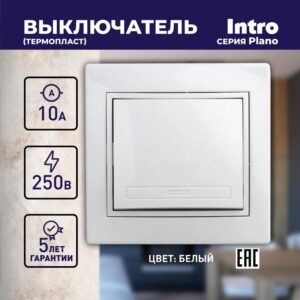10А-250В