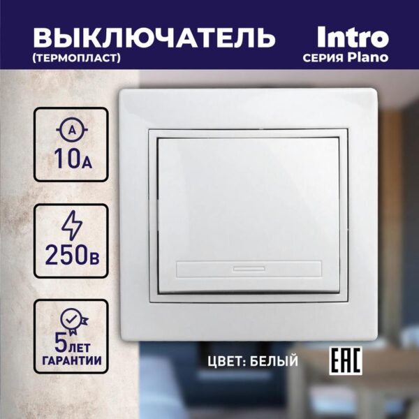 10А-250В