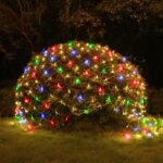 ERAUF024-16 ЭРА Сеть 150 LED на солнечной батарее мультиколор 2м*1